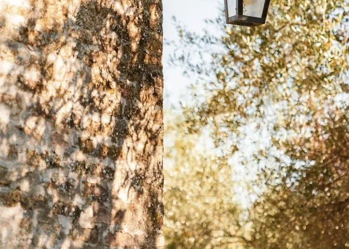 Drei-zimmer-panorama-wohnung Mit Terrasse Und Sommerpool By Interhome Apartment Pesaro